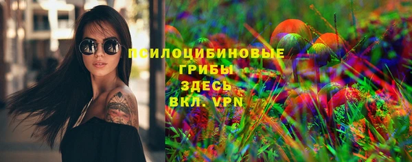 первитин Нея
