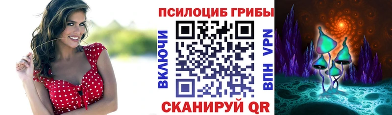 Псилоцибиновые грибы MAGIC MUSHROOMS  наркошоп  Одинцово 