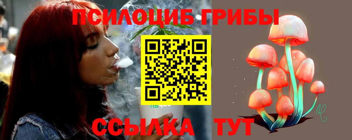 Псилоцибиновые грибы Psilocybe  Псилоцибиновые грибы прущие грибы  Одинцово  Вход с VPN 